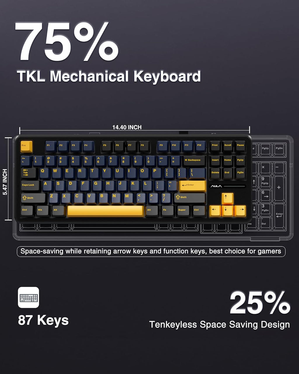 AULA F87 TKL