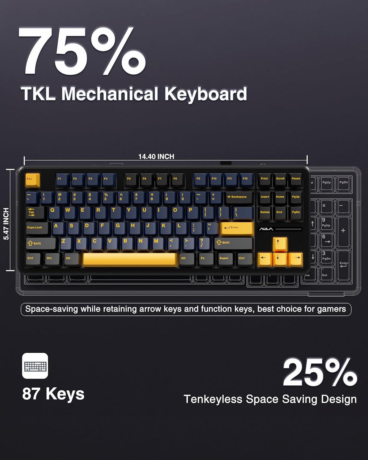AULA F87 TKL